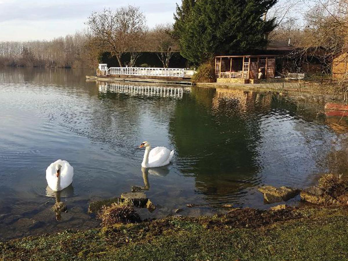 Au Domaine De La Goujonne * Saint-Sauveur-lès-Bray